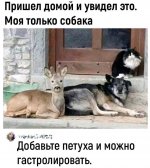 IMG_3545.jpeg