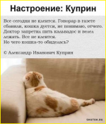 image (1337).png
