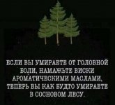 IMG_20240609_191917_635.jpg