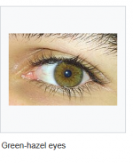 1718292880903.png