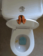 gDUQ8DUMZ0BcdciVPeY_4MNkikO0yd74ftc14DX8gak.gif