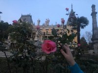 41165796-3ac0-484f-bb74-0b4c4fdca905.jpeg