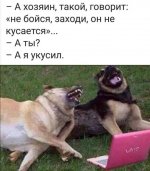 57154743_original.jpg