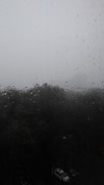 P_20240620_130251.jpg