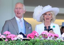 gettyimages-2158426984-612x612.jpg