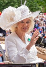 gettyimages-2157836969-612x612.jpg