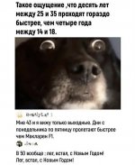 IMG_3894.jpeg