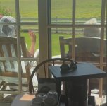 IMG_3906.jpeg