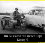 image (2672).png