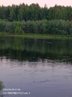 IMG_20240628_210618_552.jpg