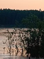 IMG_20240628_210630_504.jpg