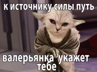 1719605841641.png