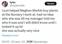 IMG_4537.jpeg