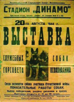 1721904395825.png