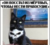 IMG_20191111_192246.jpg