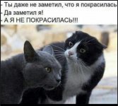 IMG_20191111_192120.jpg