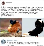 IMG_20191111_190622.jpg