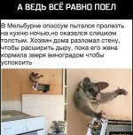 IMG_20191111_190545.jpg