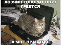 IMG_20191111_190243.jpg