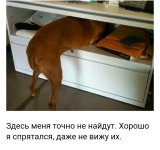 IMG_20191113_184834.jpg