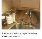 IMG_20191113_184744.jpg
