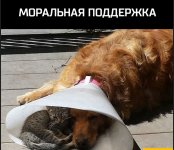 IMG_20191113_185547.jpg