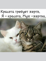 1722858414569.png