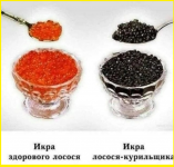 image (2776).png