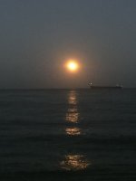 IMG_6925.jpeg