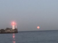 IMG_6900.jpeg
