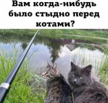 3j7nqq63ck.jpg