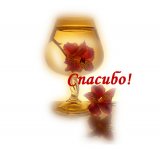 Благодарю.jpg