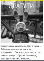 image (363).png