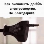 58695435_original.jpg