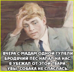 image (908).png