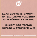 image (902).png
