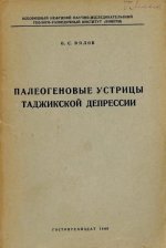 58838548_original.jpg
