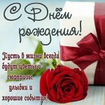 trumb-pic-503009.jpg