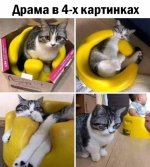 1725701029.jpg