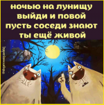 image (940).png