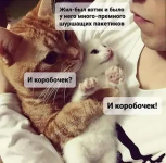 5571883_original.png