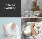 NEzM-CC7JBg.jpg
