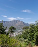 IMG_6702.jpeg