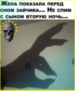 image (1166).png