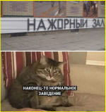 image (1295).png