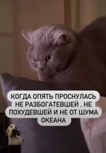 IMG_6849.jpeg