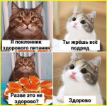 image (1566).png