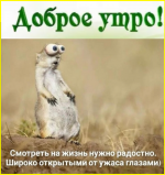 image (1740).png