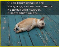 image (3246).png
