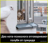 image (3626).png